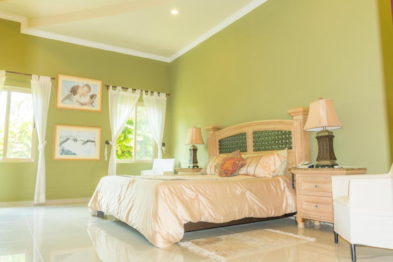 Hotel Boutique Mansion La Ceiba 梅里达 外观 照片